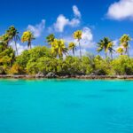 Top-performing sustainable super funds (to June 2024)