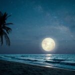 Deeming rates (2025-26) and calculator for the Age Pension income test