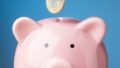 What is the Pension Loans Scheme, and how does it work?