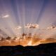 Which Australian super funds accept KiwiSaver transfers?