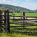 SMSFs and property: Business real property