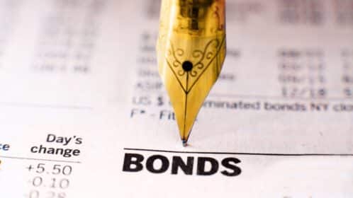The role of cash and bonds in your portfolio and what’s available