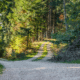 Should you start a pension in your SMSF? Weighing up the pros and cons