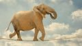 Total Superannuation Balance: When it applies and what is included