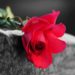 A simple guide to what tax is payable on super death benefits
