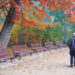 Commonwealth Seniors Health Card: Eligibility and how to apply