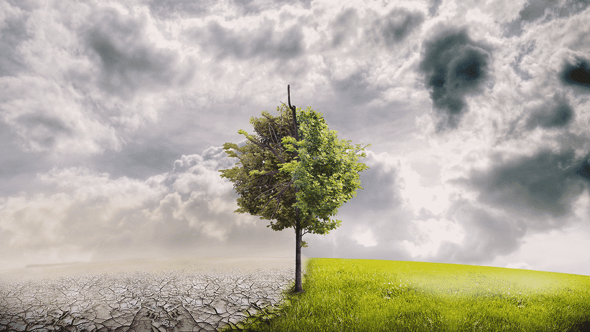 Can you exclude fossil fuels from your superannuation?