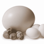 How much super should I have at my age?