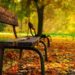 Losing capacity: The issues for SMSF trustees and what you need to do